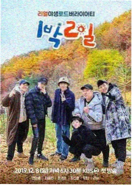 街霸2剧场版 延伸推荐图